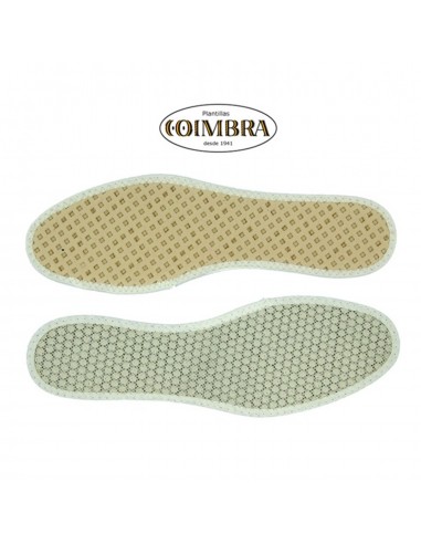 Plantilla Coimbra climatic
Regula la...